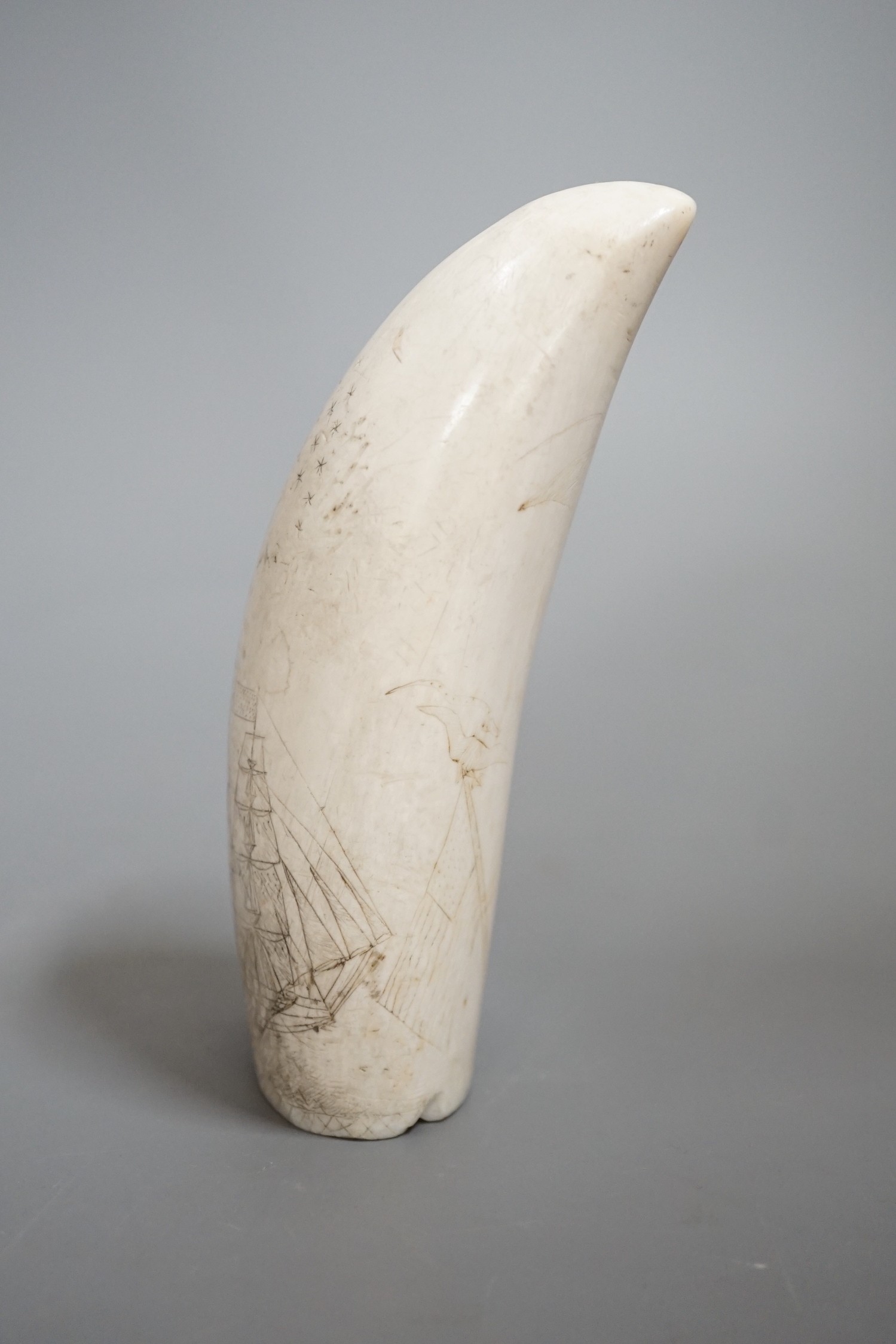 A 19th century scrimshaw sperm whale tooth, 13cm high